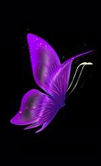 紫之魅影系列6创意蝴蝶动画工程文件视频的预览图